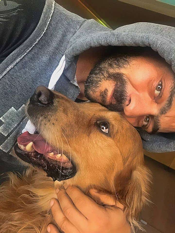 İzmir Pozitif Temel Köpek Eğitimi