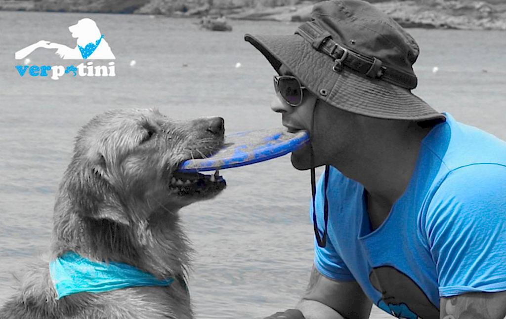 İzmir Pozitif Temel Köpek Eğitimi