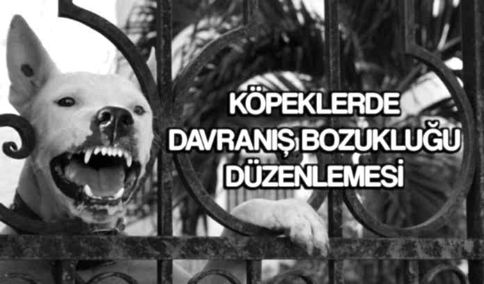 Kopek-agresyon-egitim Köpeklerde davranış bozukluğu
