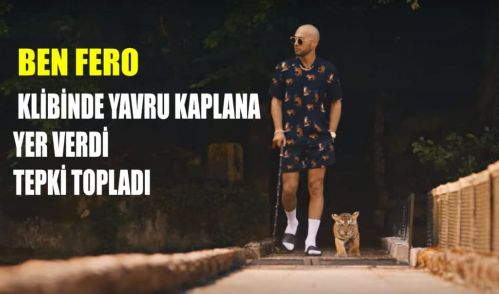 Ben Fero