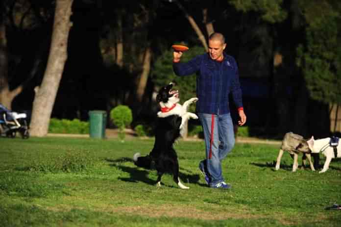 izmir köpek eğitimleri izmir köpek eğitimleri